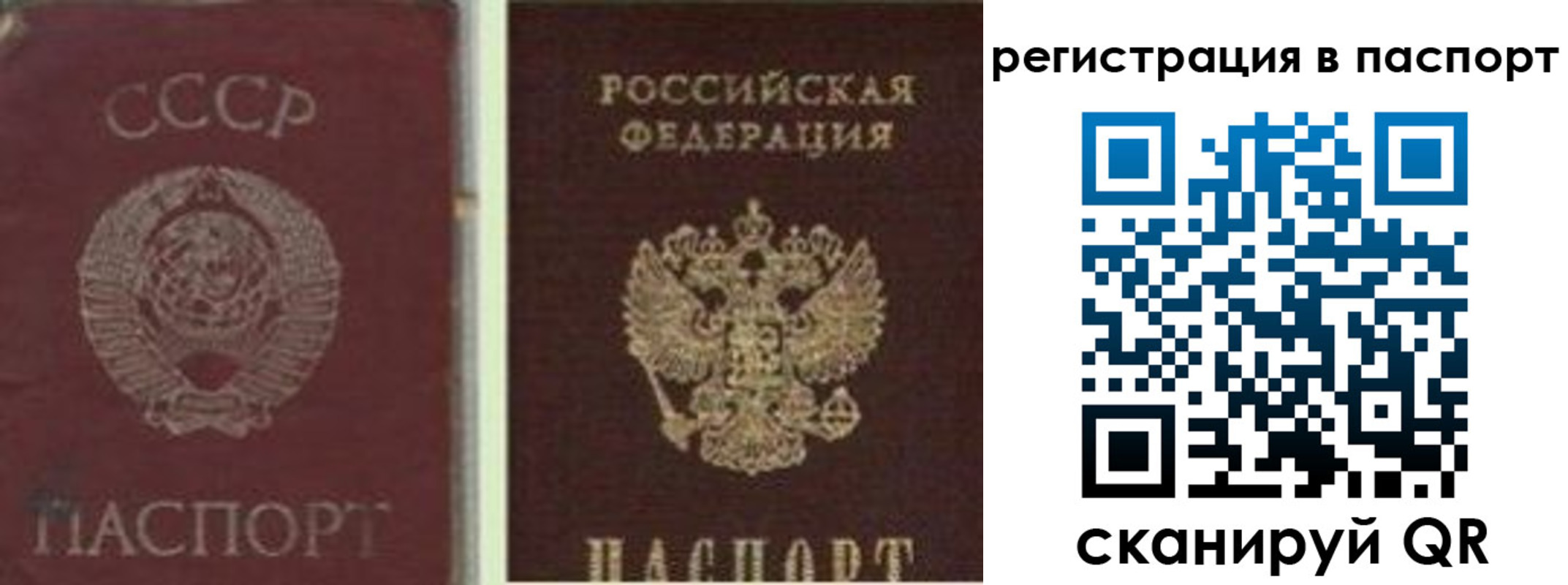 прописка для работы в Завитинске